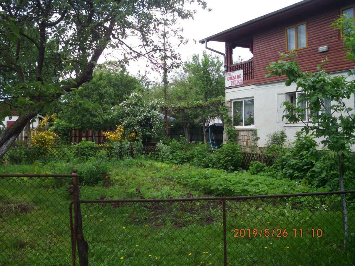 Vila Mihaela Breaza  Exterior foto